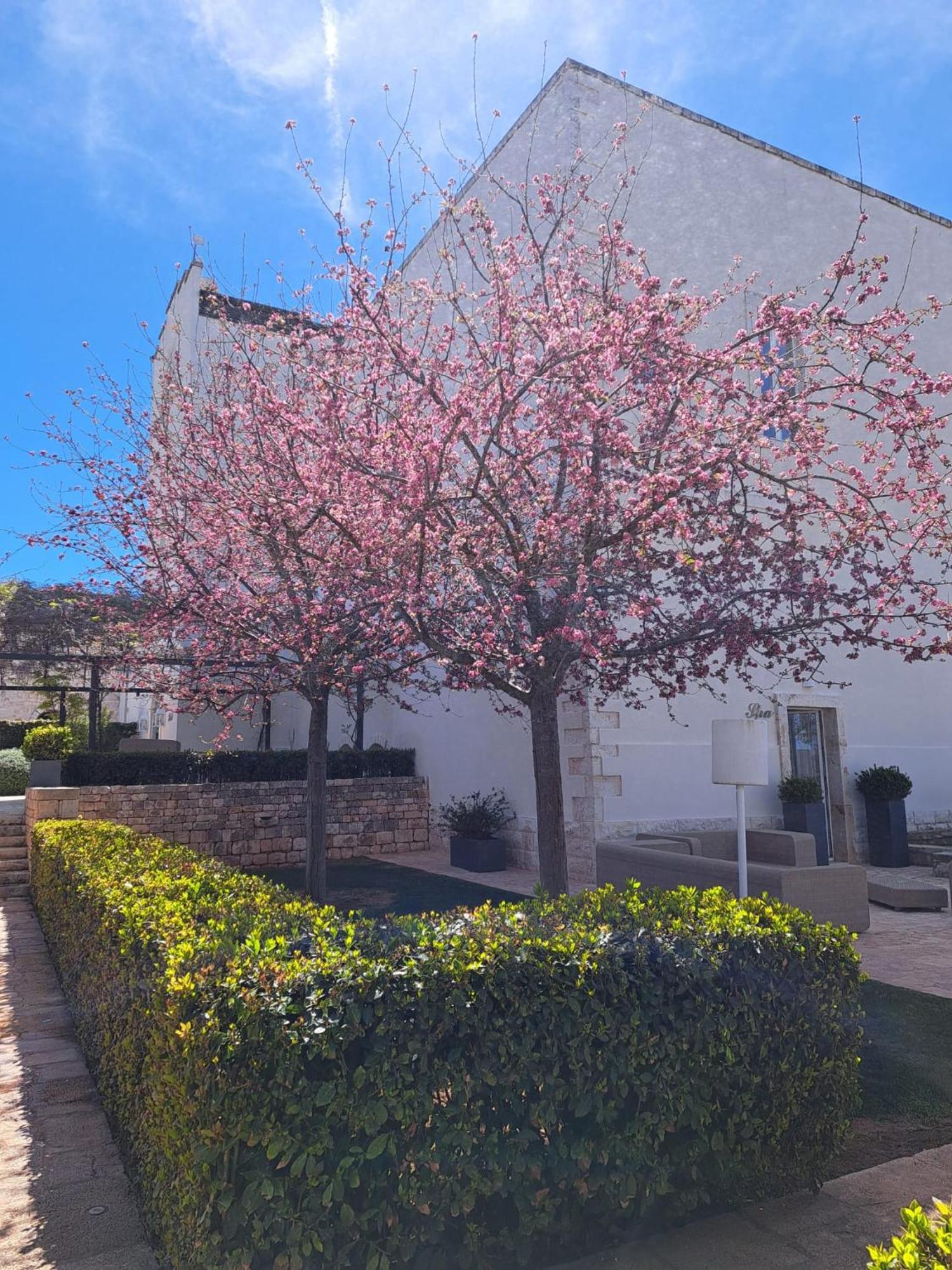 Hotel Relais Il Santissimo Turi Exterior foto